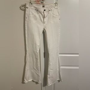 ***CITIZENS OF HUMANITY***